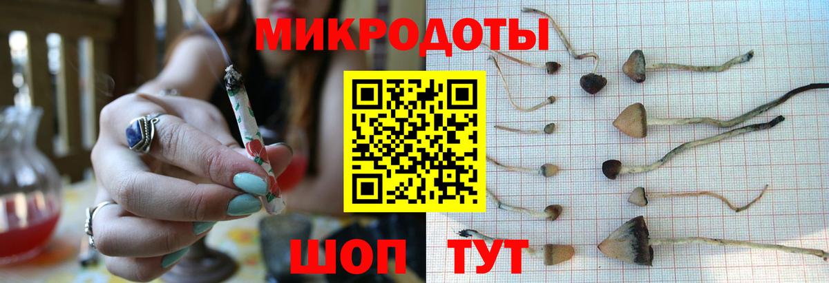 Псилоцибиновые грибы Psilocybine cubensis Аргун